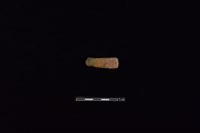 陶把藏品圖，第1張